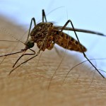 Ультразвуковые устройства от комаров